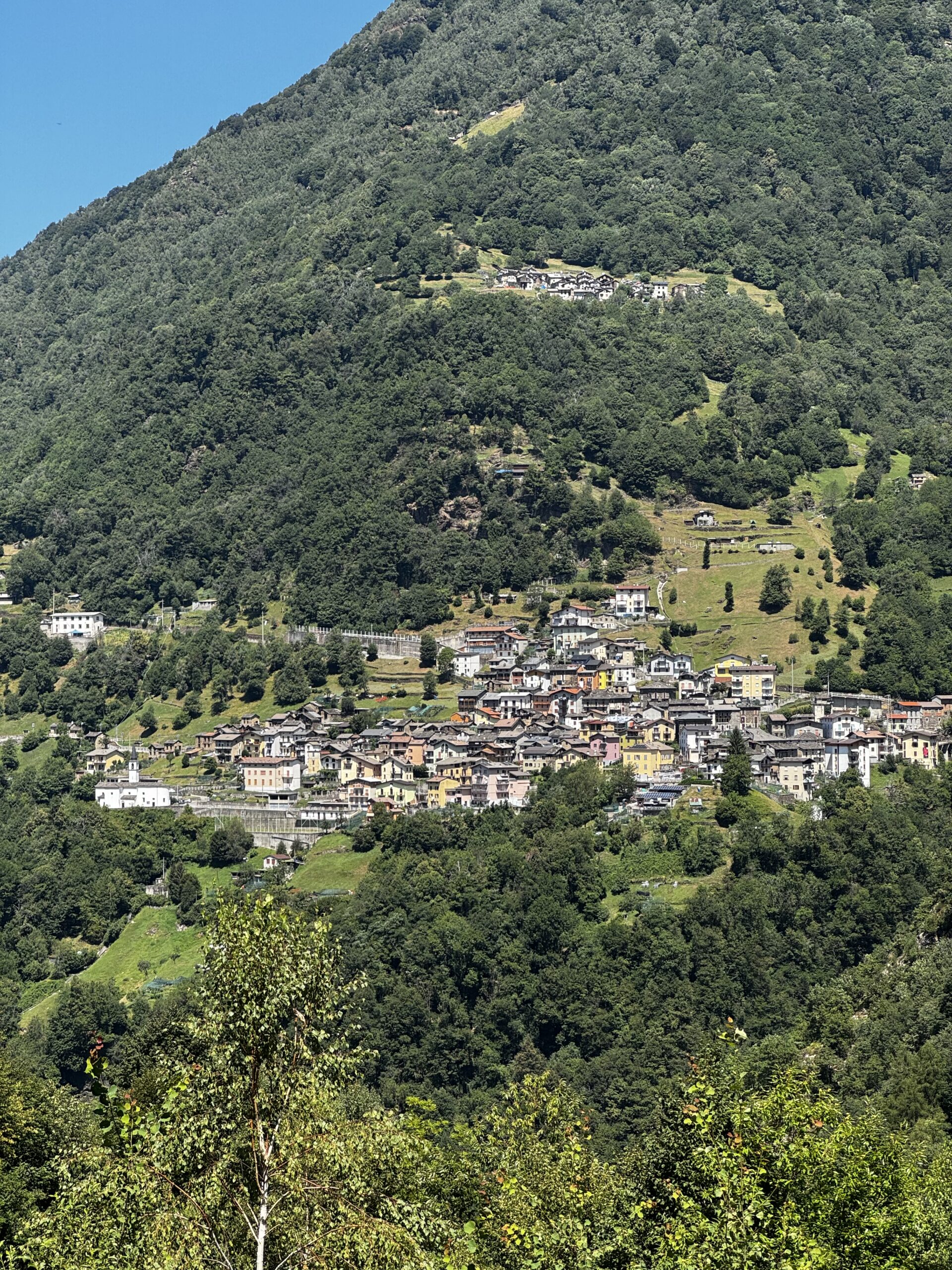 20260722_IMG_6399
